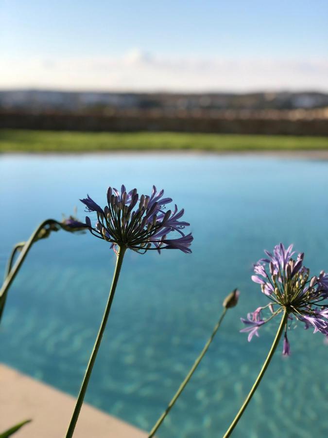 Sunset Oasis Villa L-Imgarr Kültér fotó